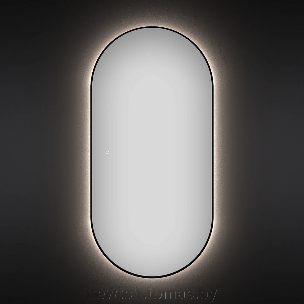Wellsee Зеркало с фоновой LED-подсветкой 7 Rays' Spectrum 172201540, 55 х 100 см с сенсором и регулировкой яркости от компании Интернет-магазин Newton - фото 1