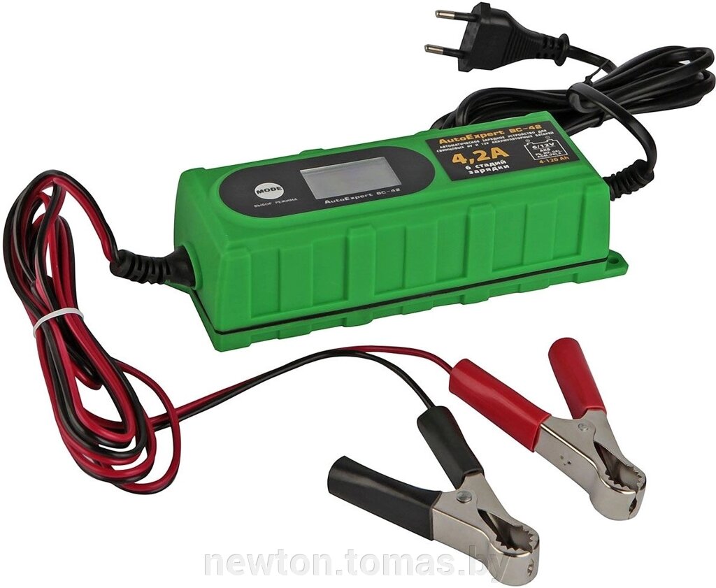 Зарядное устройство AutoExpert BC-42 от компании Интернет-магазин Newton - фото 1