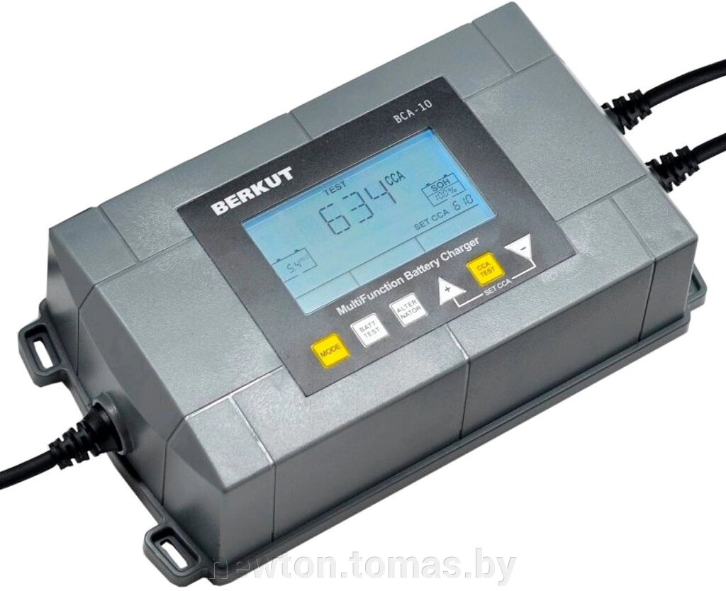 Зарядное устройство Беркут BCA-10 от компании Интернет-магазин Newton - фото 1