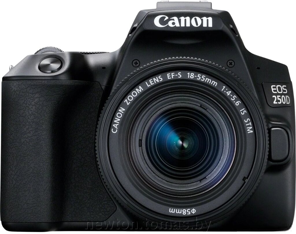 Зеркальный фотоаппарат Canon EOS 250D Kit 18-55 IS STM черный от компании Интернет-магазин Newton - фото 1