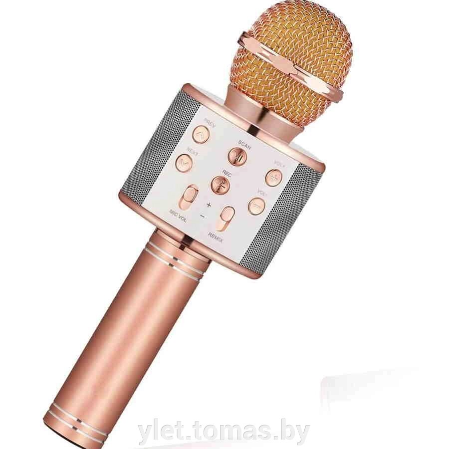 Караоке микрофон WS-858 Розовое золото от компании Интернет-магазин Ylet - фото 1