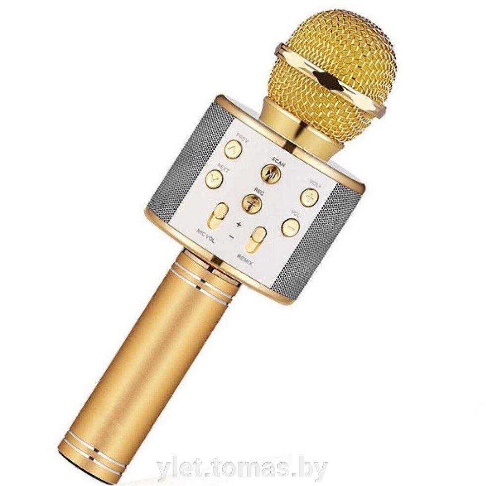 Караоке микрофон WS-858 Золотой от компании Интернет-магазин Ylet - фото 1