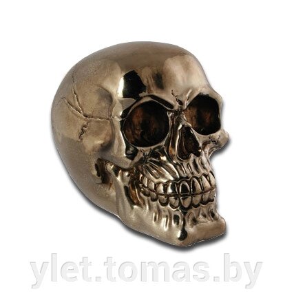 Копилка череп бронзовый глянцевый с ключом от компании Интернет-магазин Ylet - фото 1