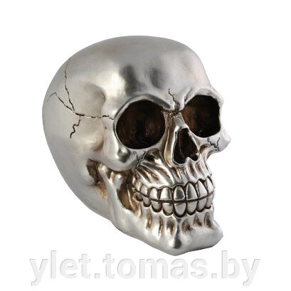 Копилка череп серебристый глянцевый с ключом от компании Интернет-магазин Ylet - фото 1