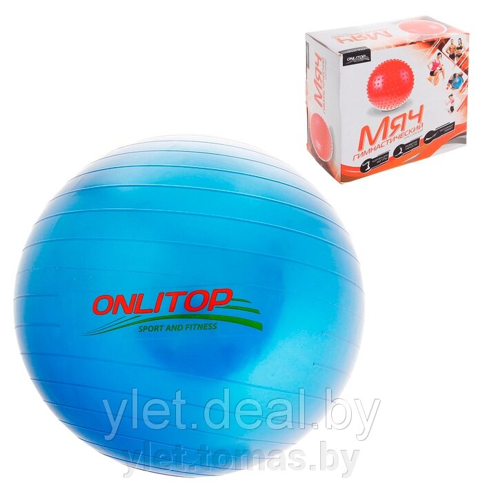 Мяч гимнастический 45 см от компании Интернет-магазин Ylet - фото 1