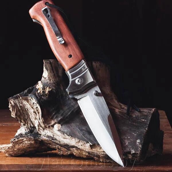 Нож складной механический Buck DA88 со шнурком от компании Интернет-магазин Ylet - фото 1