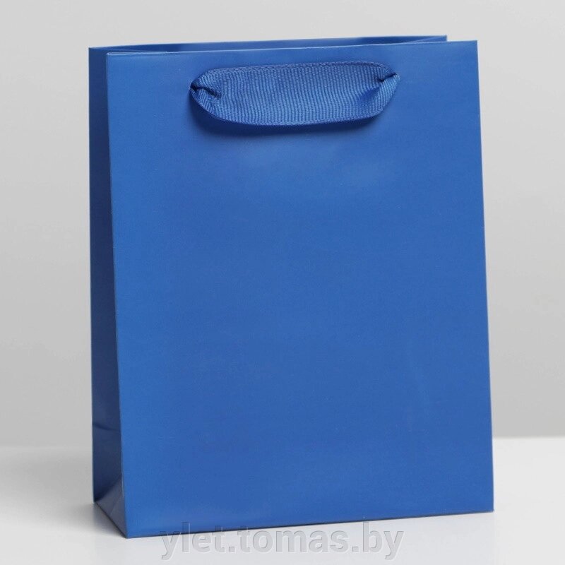 Пакет ламинированный Синий, S 12  15  5,5 см от компании Интернет-магазин Ylet - фото 1