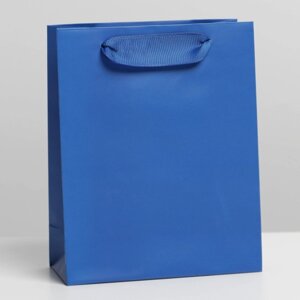Пакет ламинированный Синий, S 12 15 5,5 см