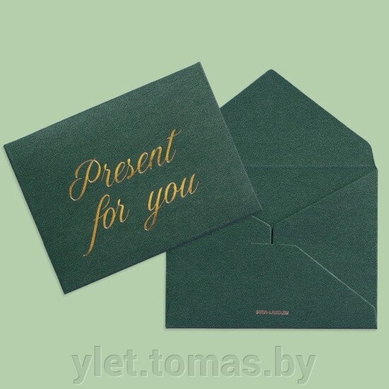 Подарочный конверт Present for you, 9  7 см от компании Интернет-магазин Ylet - фото 1
