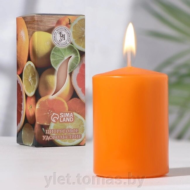 Свеча ароматическая Цитрусовое удовольствие 46 см от компании Интернет-магазин Ylet - фото 1