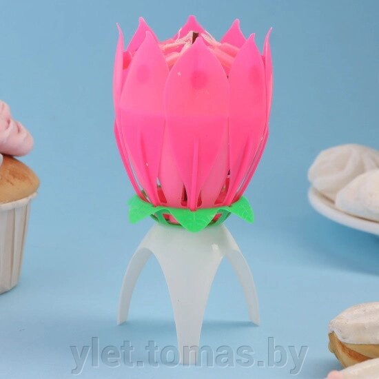 Свеча для торта музыкальная Тюльпан от компании Интернет-магазин Ylet - фото 1