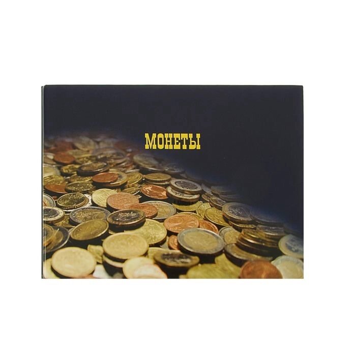 Альбом для монет горизонтальный на кольцах 230*170 мм, ламин. картон от компании ИП Дробышевская Н. И. - фото 1