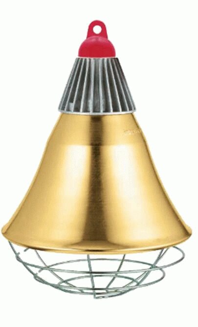 Плафон для лампы LP300 ##от компании## ИП Дробышевская Н. И. - ##фото## 1