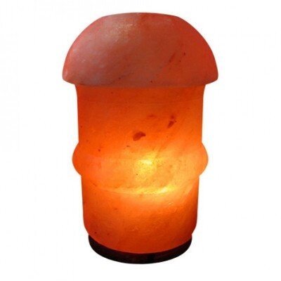 Солевая лампа Гриб фигурный (2-3 кг) от компании Интернет-магазин Encity - фото 1