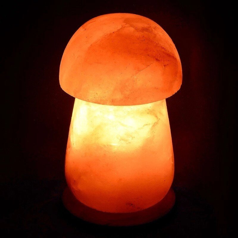 Солевая лампа Гриб малый (2-3 кг) от компании Интернет-магазин Encity - фото 1