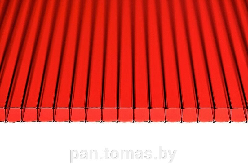 Поликарбонат сотовый Polynex Красный 6000*2100*10 мм, 1,3 кг/м2 от компании Торговые линии - фото 1