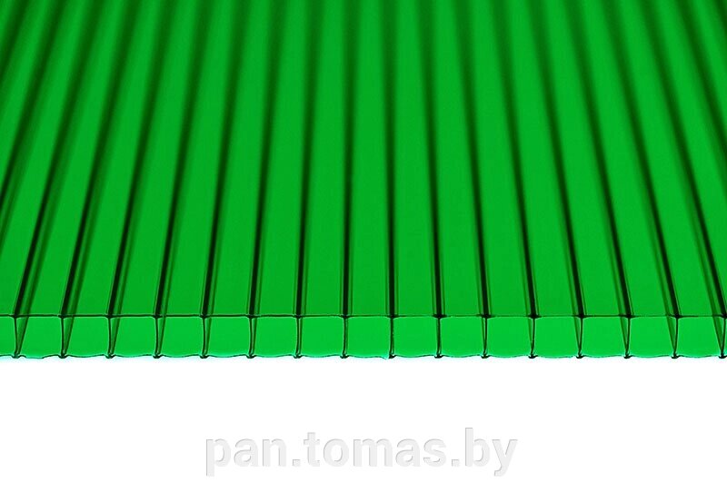 Поликарбонат сотовый Polynex Зеленый 6000*2100*8 мм, 1,15 кг/м2 от компании Торговые линии - фото 1