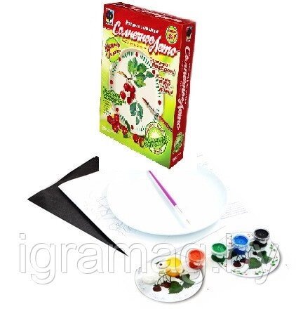 Набор для творчества роспись тарелки Малина от компании Интернет-магазин игрушек «ИграМаг» - фото 1
