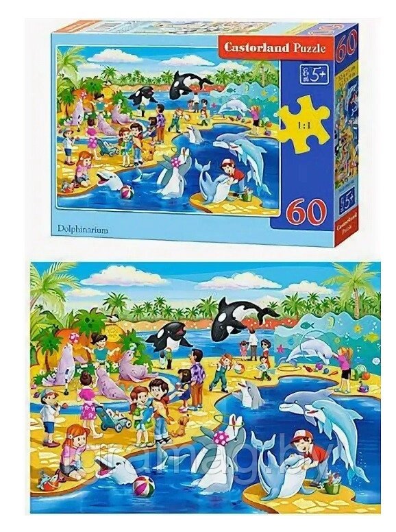 Пазл  «Дельфинарий», 60 элементов от компании Интернет-магазин игрушек «ИграМаг» - фото 1