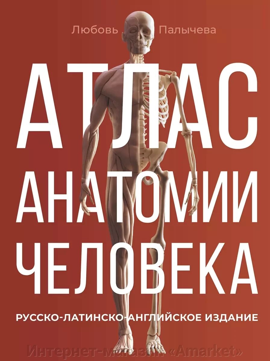 Атлас анатомии человека. Русско-латинско-английское издание от компании Интернет-магазин «Amarket» - фото 1