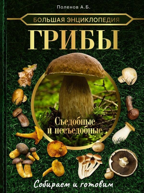 Большая энциклопедия. Грибы. Съедобные и несъедобные. Собираем и готовим. от компании Интернет-магазин «Amarket» - фото 1