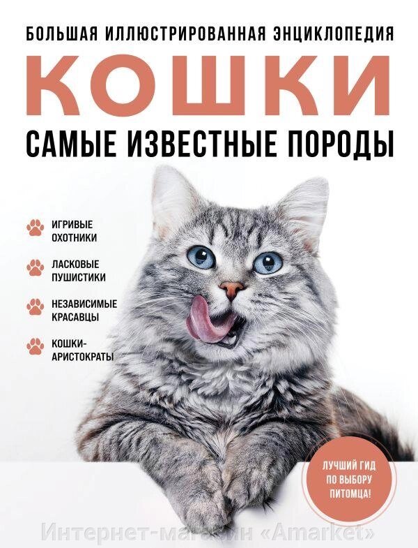 Большая иллюстрированная энциклопедия КОШКИ. Самые известные породы от компании Интернет-магазин «Amarket» - фото 1