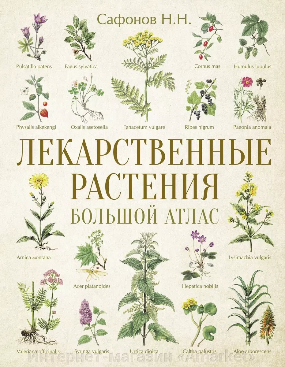 Большой атлас Лекарственные растения от компании Интернет-магазин «Amarket» - фото 1