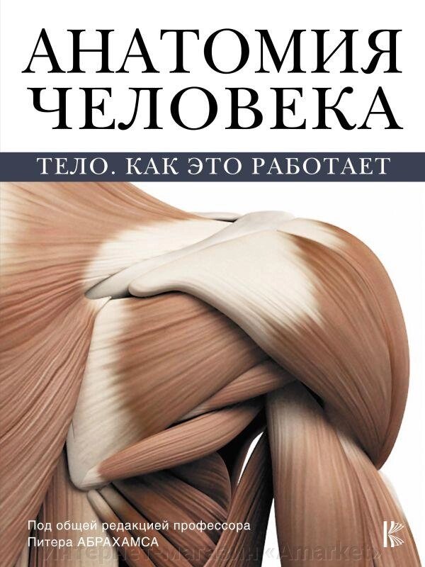 Энциклопедия Анатомия человека. Тело. Как это работает от компании Интернет-магазин «Amarket» - фото 1