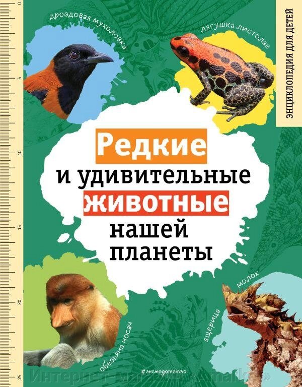 Энциклопедия для детей. Редкие и удивительные животные нашей планеты от компании Интернет-магазин «Amarket» - фото 1