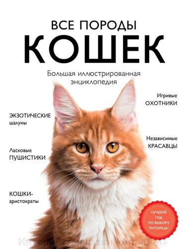 Энциклопедия Все породы кошек. Большая иллюстрированная энциклопедия
