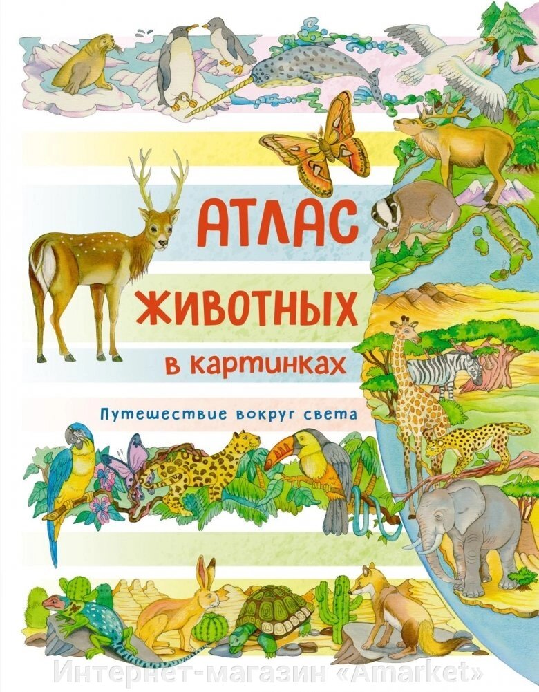 Книга Атлас животных в картинках. Путешествие вокруг света от компании Интернет-магазин «Amarket» - фото 1