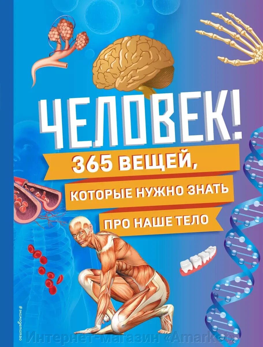 Книга Человек! 365 вещей, которые нужно знать про наше тело от компании Интернет-магазин «Amarket» - фото 1