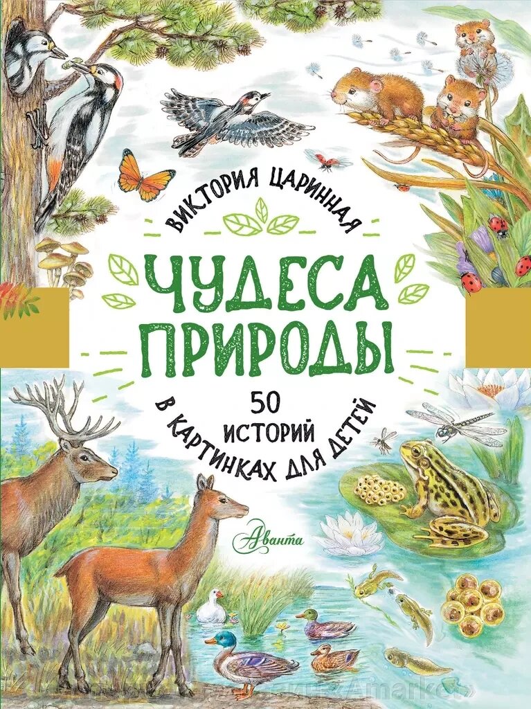 Книга Чудеса природы. 50 историй в картинках для детей от компании Интернет-магазин «Amarket» - фото 1