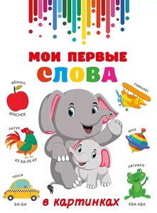 Книга Мои первые слова в картинках