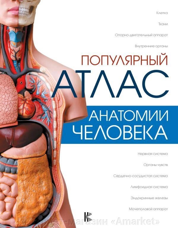 Книга Популярный атлас анатомии человека от компании Интернет-магазин «Amarket» - фото 1