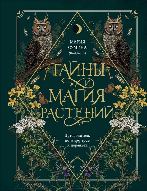 Книга Тайны и магия растений. Путеводитель по миру трав и деревьев от компании Интернет-магазин «Amarket» - фото 1