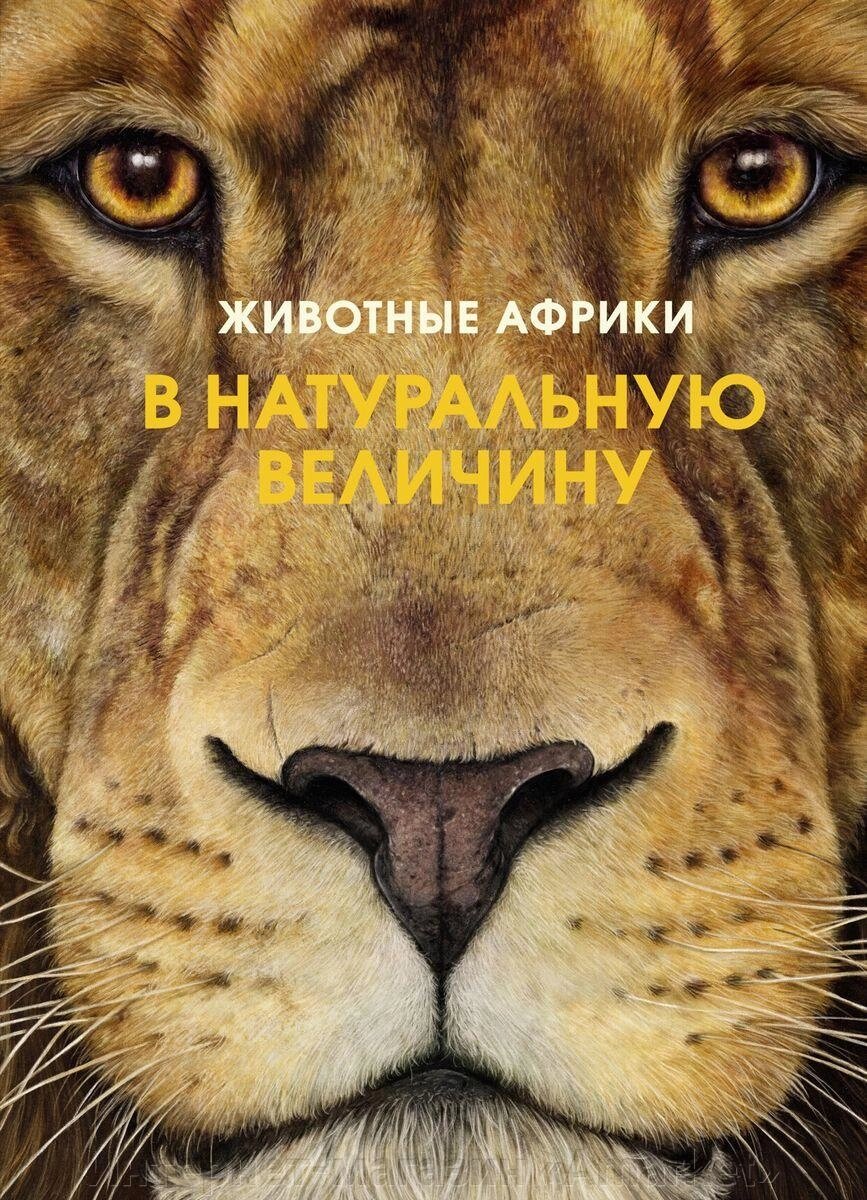 Книга Животные Африки в натуральную величину от компании Интернет-магазин «Amarket» - фото 1