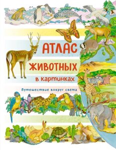 Книга Атлас животных в картинках. Путешествие вокруг света