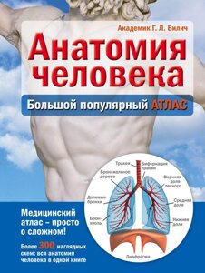 Энциклопедия Анатомия человека: большой популярный атлас