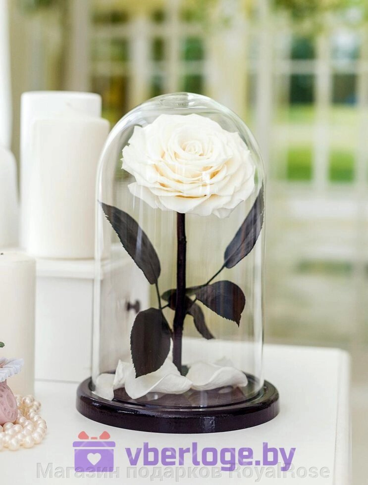 Белая роза в колбе 28 см, White Pearl King от компании Магазин подарков RoyalRose - фото 1