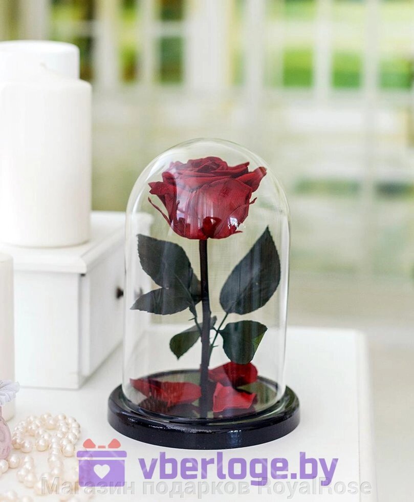 Бордовая роза в колбе 22 см, Maroon от компании Магазин подарков RoyalRose - фото 1