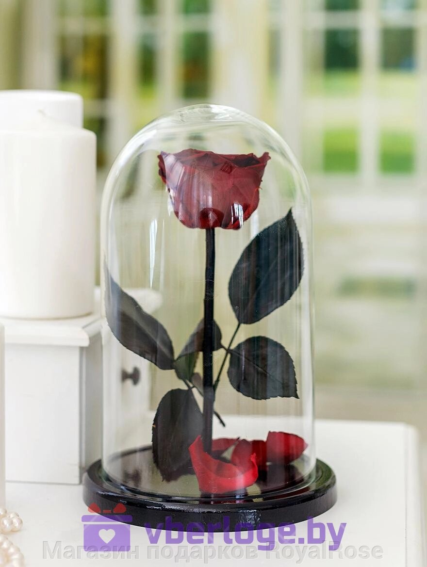 Бордовая роза в колбе 28 см, Maroon Elegant от компании Магазин подарков RoyalRose - фото 1