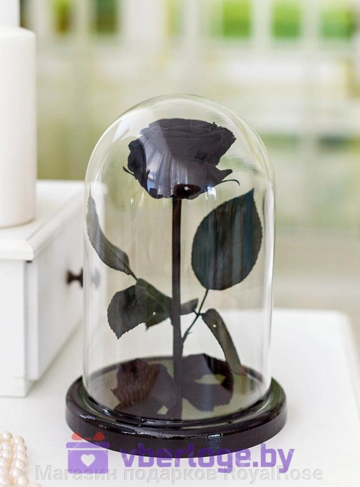 Черная роза в колбе 22 см, Noir Sable Mini от компании Магазин подарков RoyalRose - фото 1