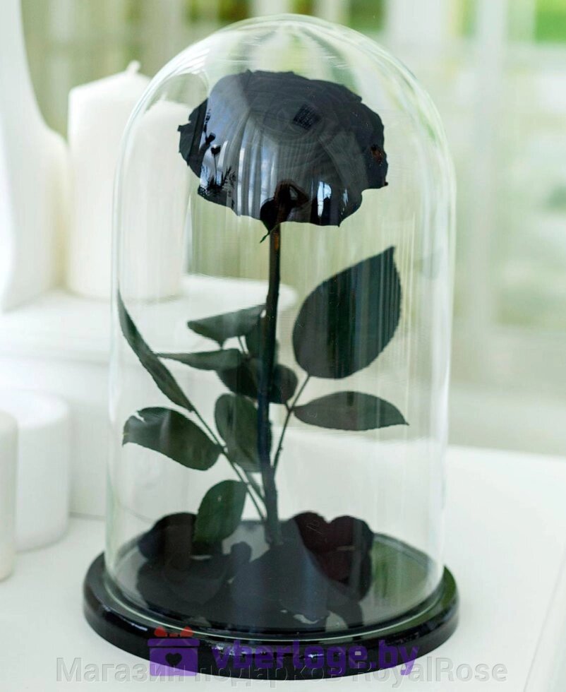 Черная роза в колбе 32 см, Noir Sable Vip от компании Магазин подарков RoyalRose - фото 1