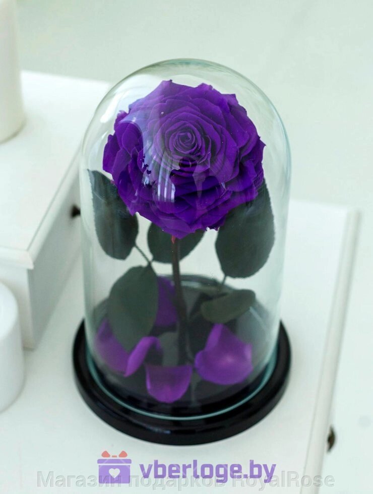 Фиолетовая роза в колбе 28 см, Dark Violett King от компании Магазин подарков RoyalRose - фото 1