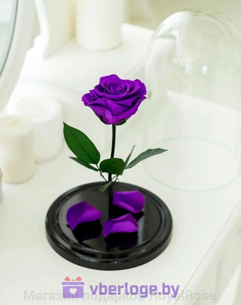Фиолетовая вечная роза 22 см, Dark Violett Mini от компании Магазин подарков RoyalRose - фото 1