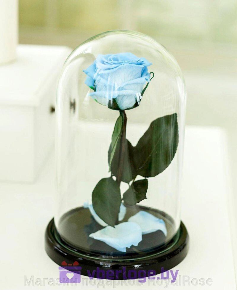 Голубая роза в колбе 22 см, Baby Blue Mini от компании Магазин подарков RoyalRose - фото 1