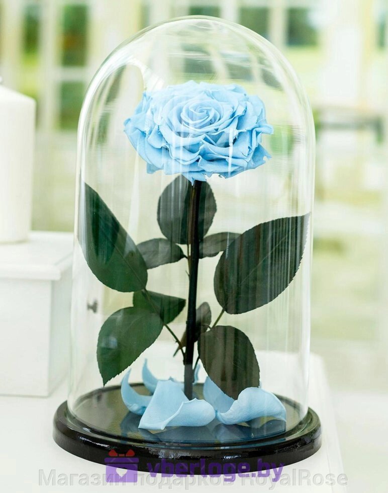 Голубая роза в колбе 32 см, Royal Blue Vip от компании Магазин подарков RoyalRose - фото 1