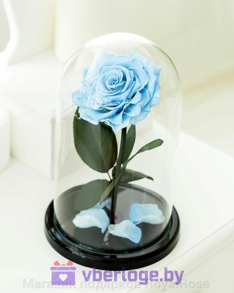 Гоубая роза в колбе 28 см, Baby Blue King от компании Магазин подарков RoyalRose - фото 1