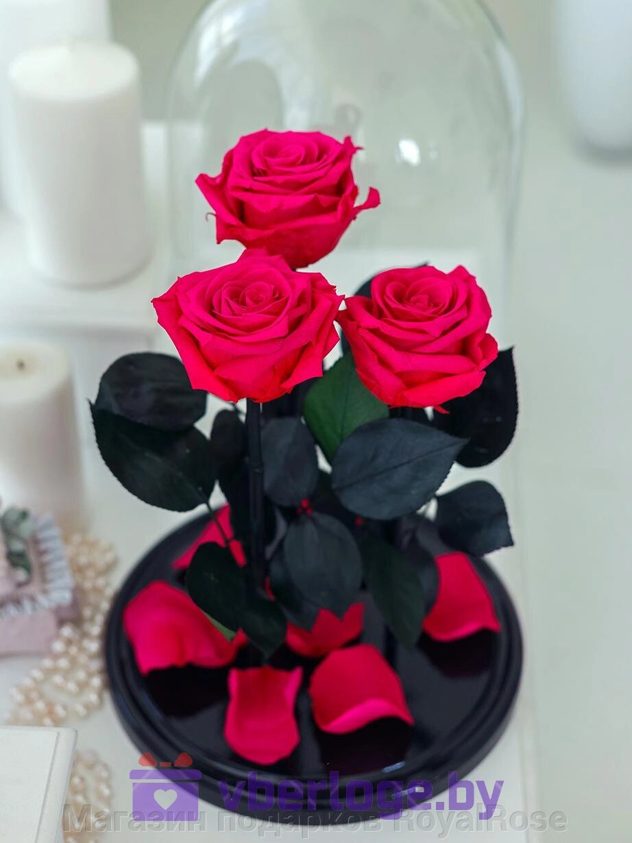 Композиция из трех роз в колбе Magenta Premium от компании Магазин подарков RoyalRose - фото 1
